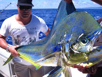 Fishing is one of the many activities available in Samoa - Book through Ifiele'ele Plantation private vacation rental