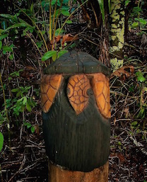 Read more about the article Turtle Sculpture