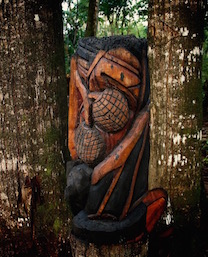 Read more about the article Fruit Bats and Ulu Sculpture